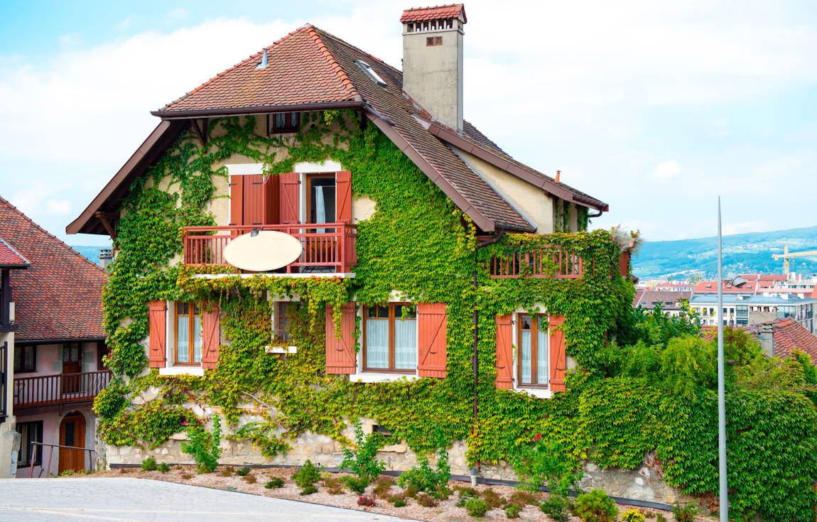 Díky zelené fasádě dostane vás dům zcela nový život