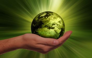 Kaskádový princip využívání dřeva: budoucnost a synonymum udržitelnosti 