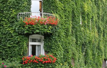 Zeleň m&iacute;sto ta&scaron;ek. Zelen&aacute; střecha je estetick&aacute; i ekonomick&aacute; volba